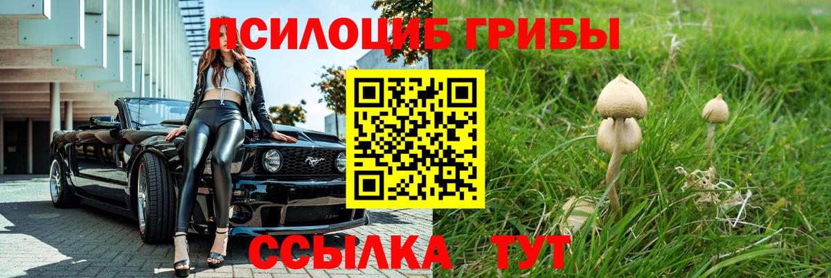 Галлюциногенные грибы MAGIC MUSHROOMS  купить  цена  Кашира  Вход с VPN 