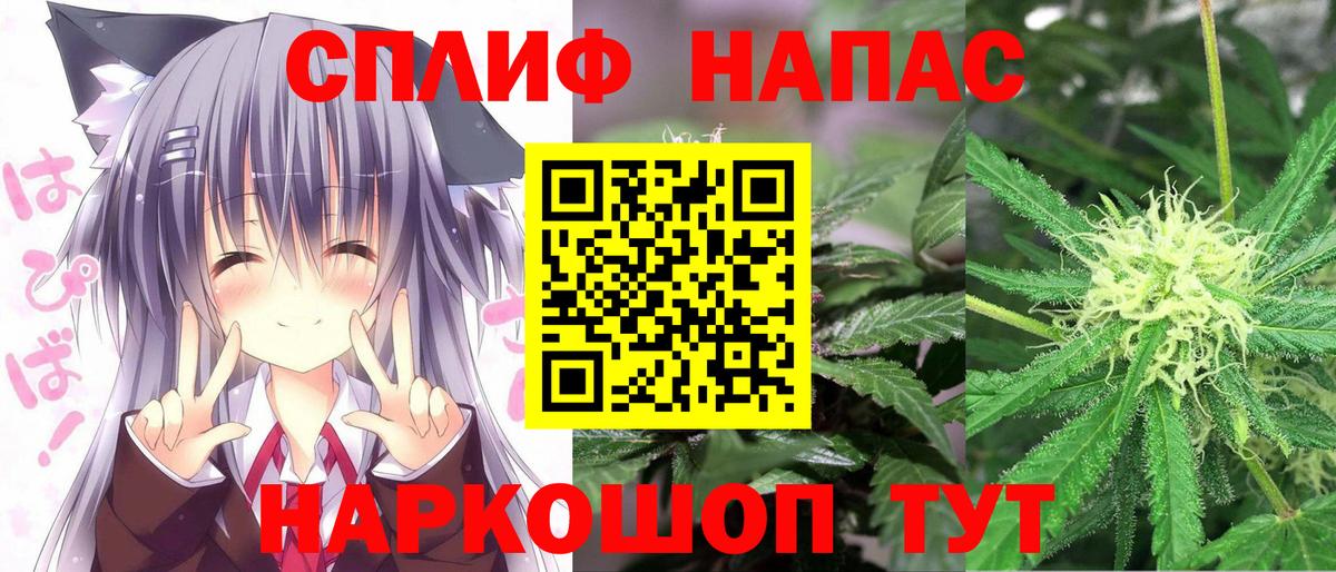 Каннабис семена Кашира